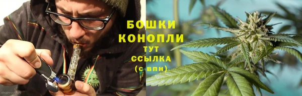 мяу мяу мука Белокуриха
