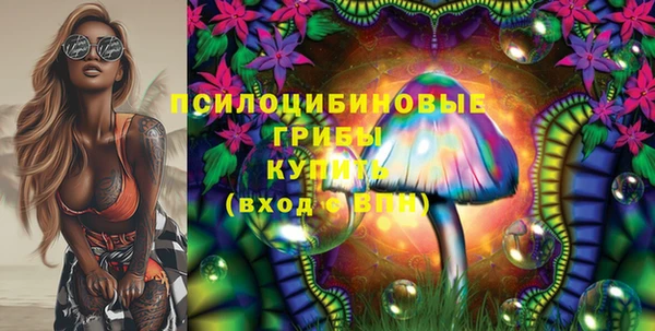 мяу мяу мука Белокуриха