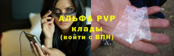 мяу мяу мука Белокуриха