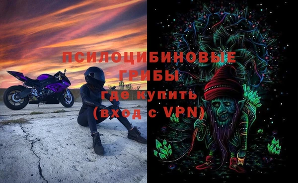 мяу мяу мука Белокуриха
